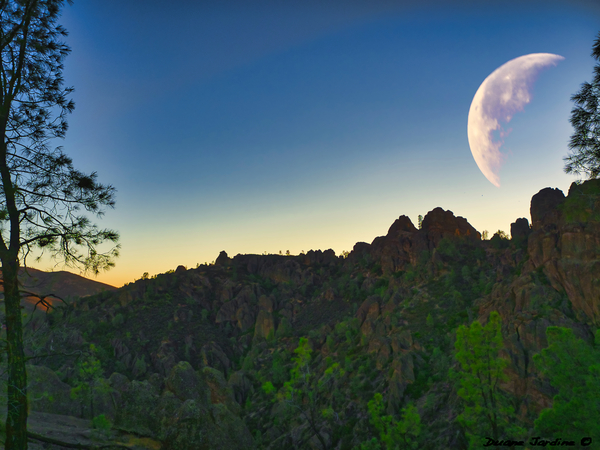 Pinnacles with Moon Print