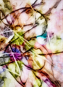 Depth of Color