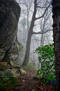 Mountain Path