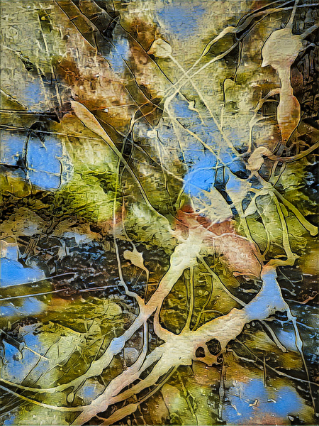 Amalgamation Print