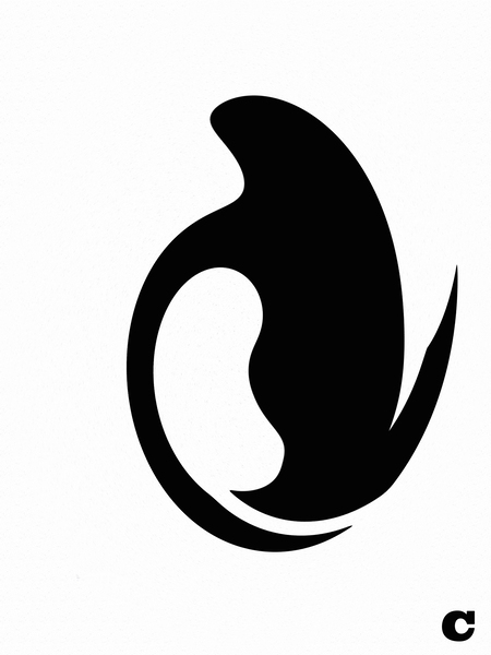 C Print