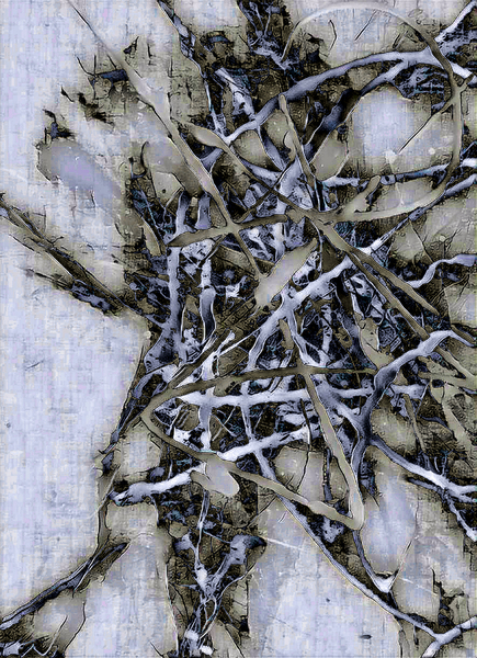 Mutation Print