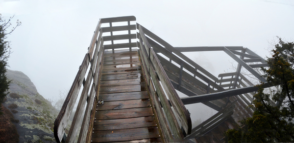 Precarious Descent by Gary Conner