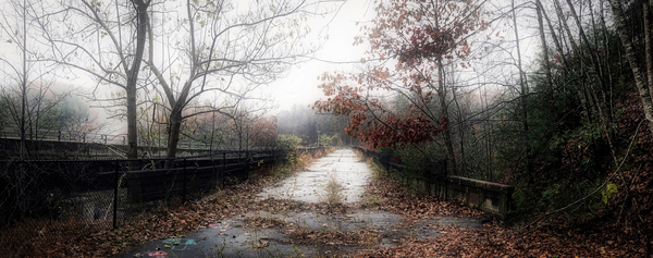 Return To Nature Print