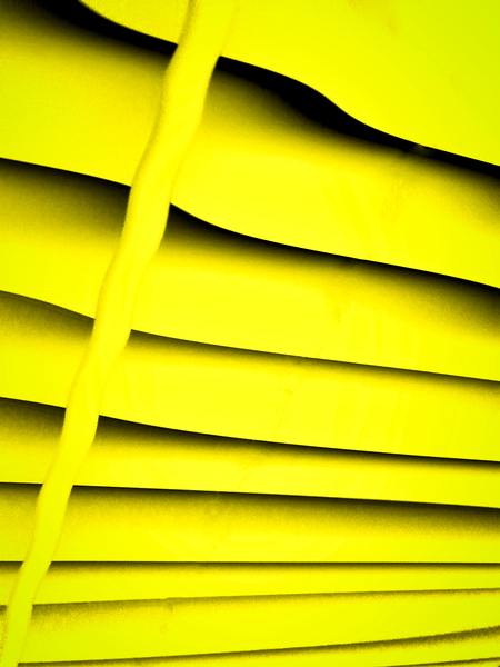 Yellow Print