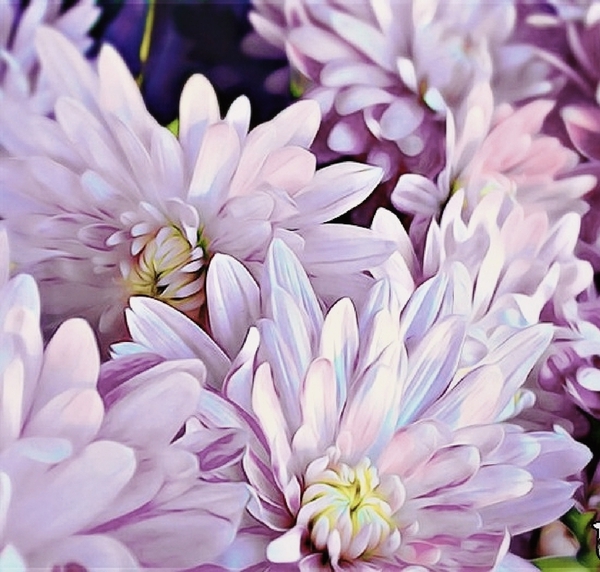 Resizer 16543834384922 by Divine Kanza