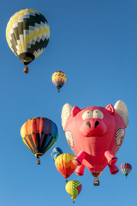 Ham Let Flies