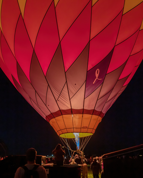 Dawn Patrol 2 by Susan Tregoning