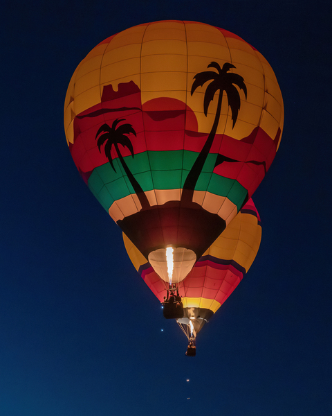 Dawn Patrol 3 by Susan Tregoning