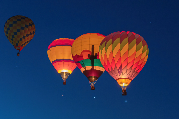 Dawn Patrol 5 by Susan Tregoning