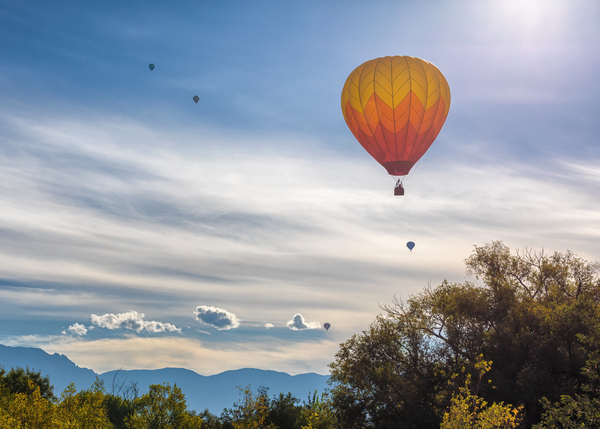 Up Up and Away by Susan Tregoning