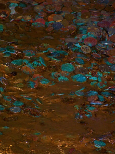 C a Penny by Monkey Brain World