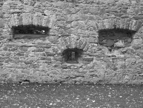 Cing Silence by Monkey Brain World