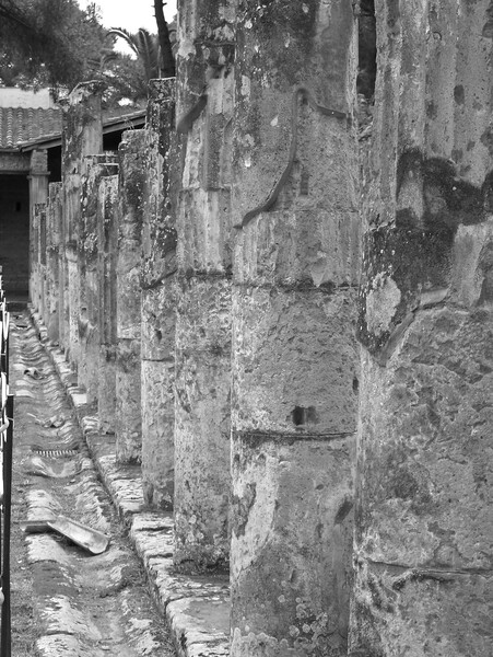 Columa by Monkey Brain World