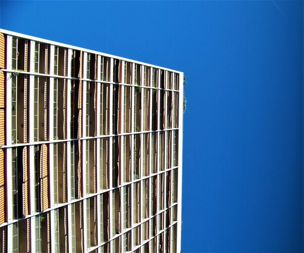 Recazul by Monkey Brain World