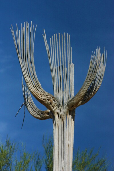 Skeleton King by Monkey Brain World