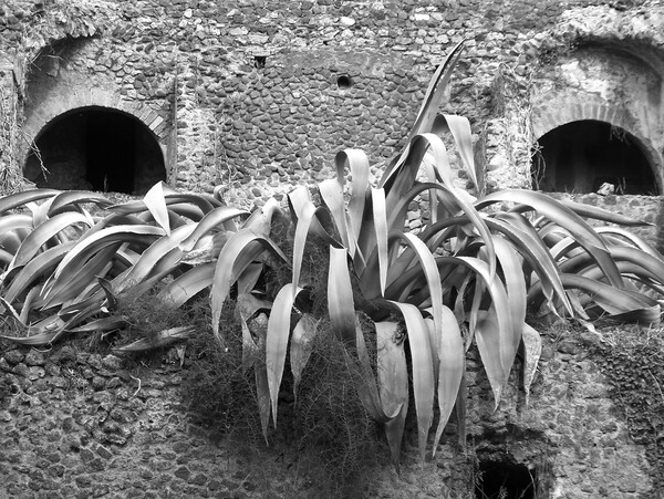 The Stash by Monkey Brain World