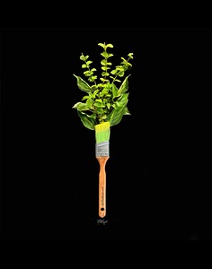 Paint My World Green