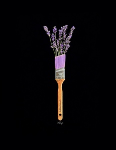 Paint My World Mauve
