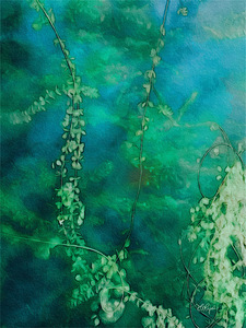 Sea Depths