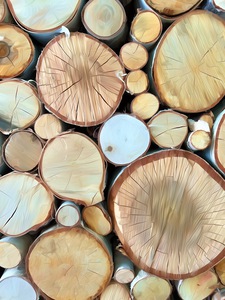 Wood You Like To See Inside