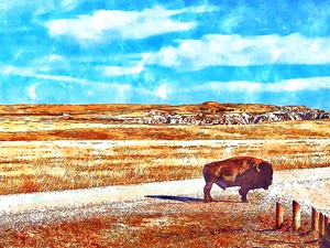 Badlands Buffalo