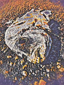 Thirsty In West Palm Beach