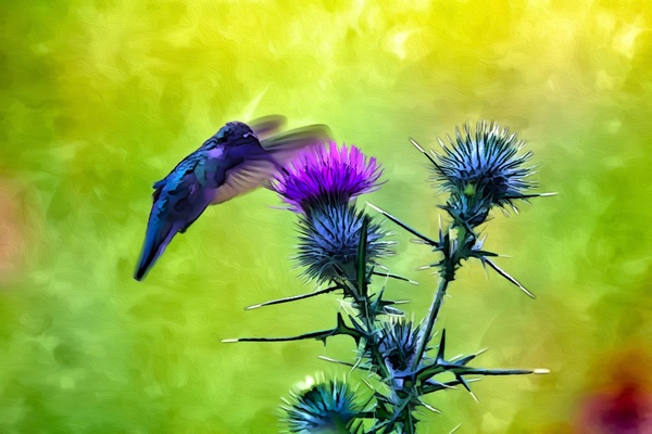 Humming Along Print