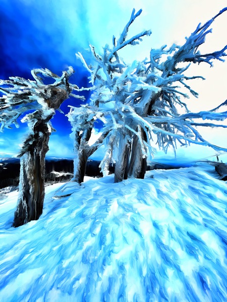 Frozen Bachelors Print