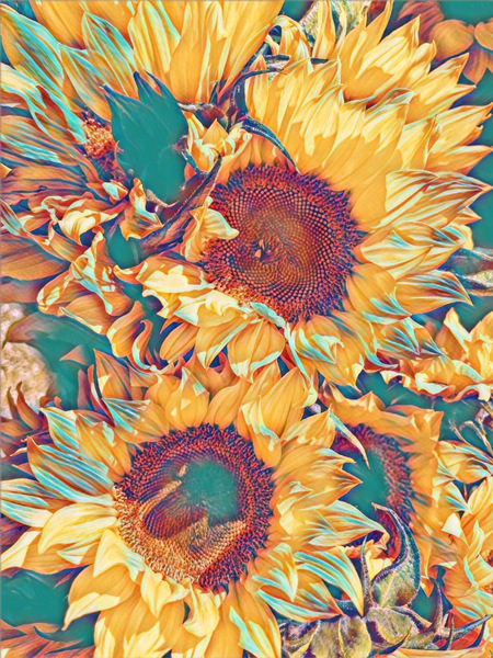 Singing Sunflowers Print