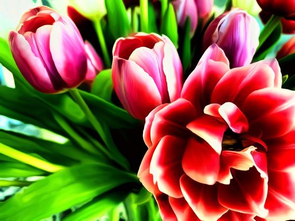 Perfect Bouquet Print