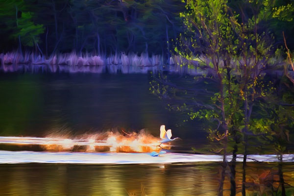 Cleared For Take Off Print