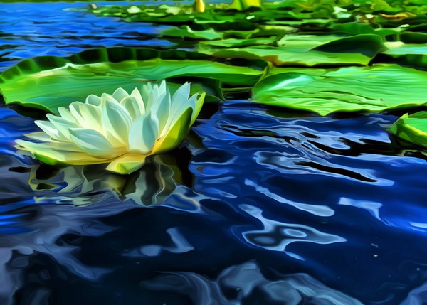 Summer Meditation Print