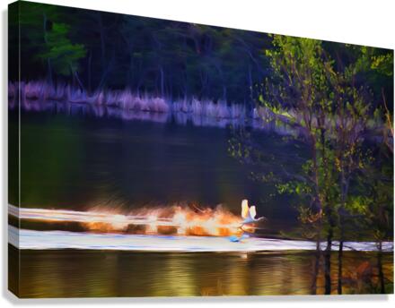 Cleared For Take Off Canvas Print