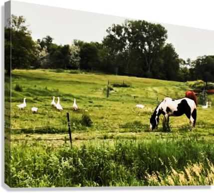 Slow Down Canvas Print