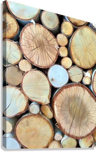 Wood You Like To See Inside Canvas Print