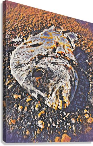 Thirsty In West Palm Beach Canvas Print