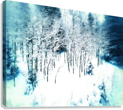 Canyons Stand Canvas Print
