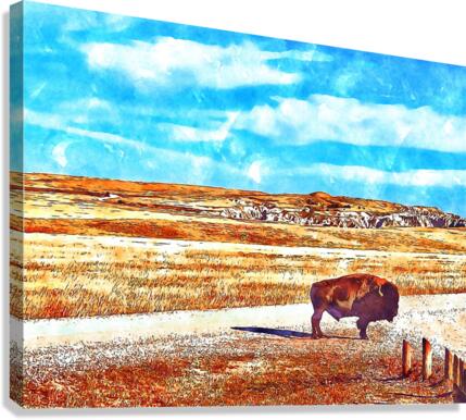Badlands Buffalo Canvas Print