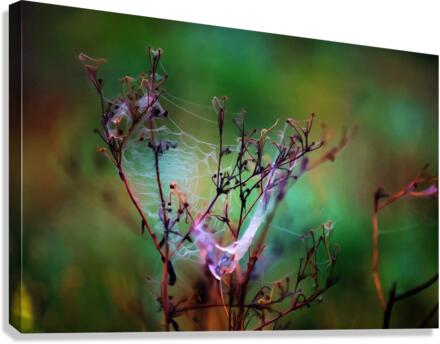 Morning Masterpiece Canvas Print