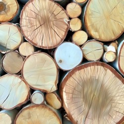 Wood You Like To See Inside