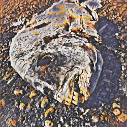 Thirsty In West Palm Beach