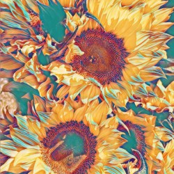 Singing Sunflowers