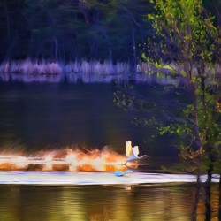 Cleared For Take Off