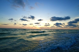 West Coast Sunset - Florida