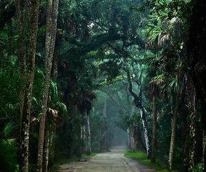 Old Florida