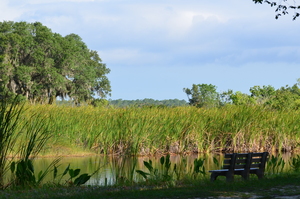 DSC 0731