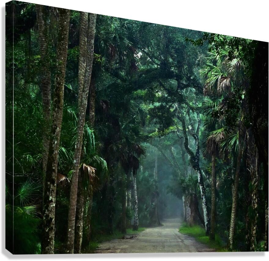 Old Florida Canvas Print