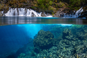 Blue Pool Immersion