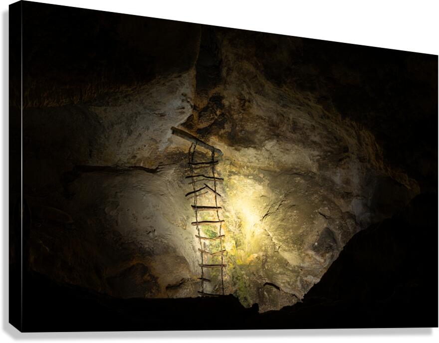 Dark Descent Canvas Print